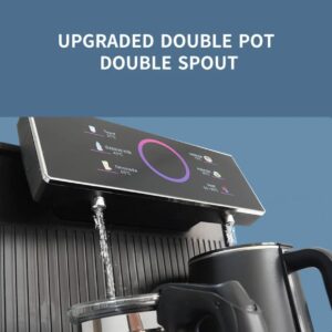 Upgraded double pot double spout